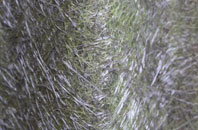 Barsloisnoch fibreglass roof work