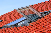 Barsloisnoch roof window